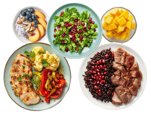 fibro-menu-fit-panther-official фибро меню от кухня fit panther - снимка без фон